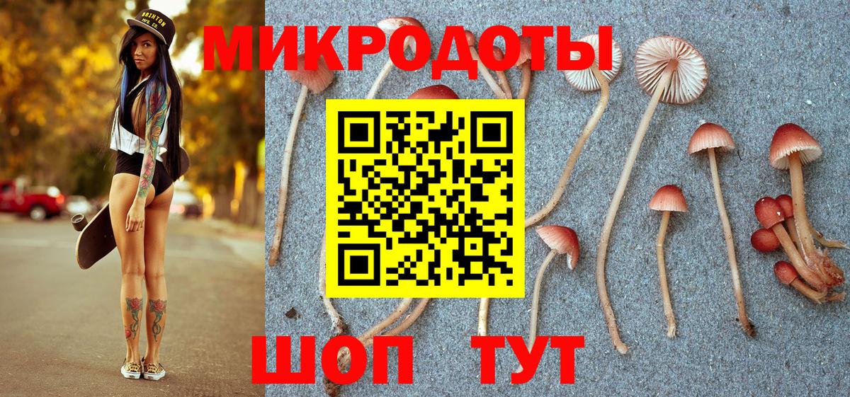 Псилоцибиновые грибы Cubensis  Вход с VPN  Карталы 